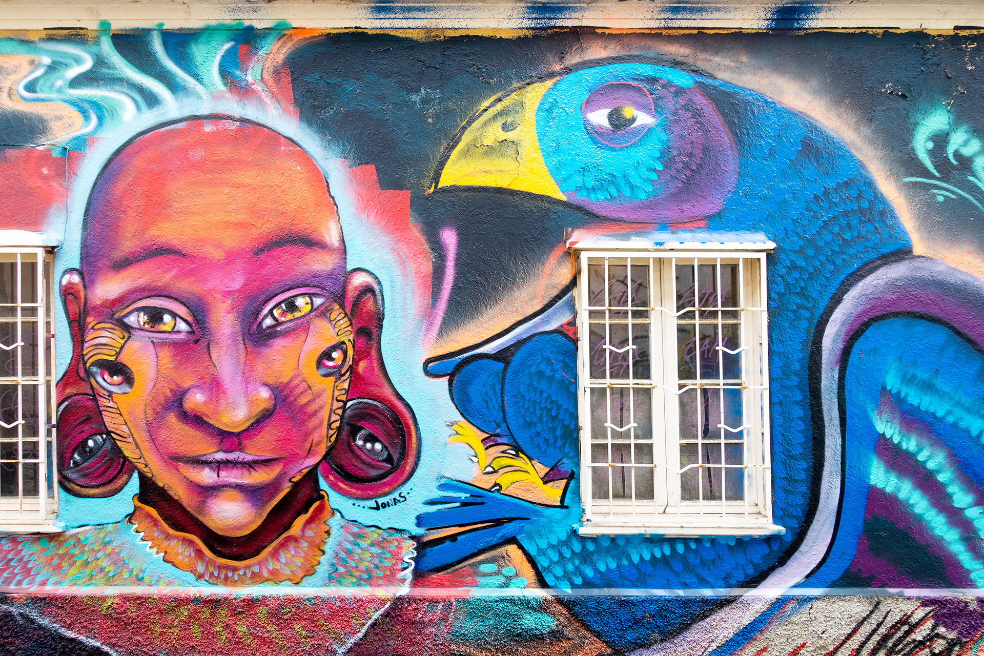 Street Art Valparaíso Chile