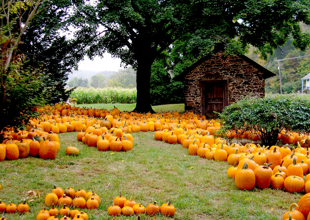 Halloween Around the World - Travelationship